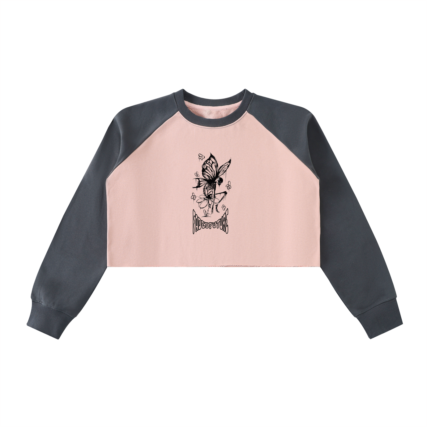 Monarch's Last Flight