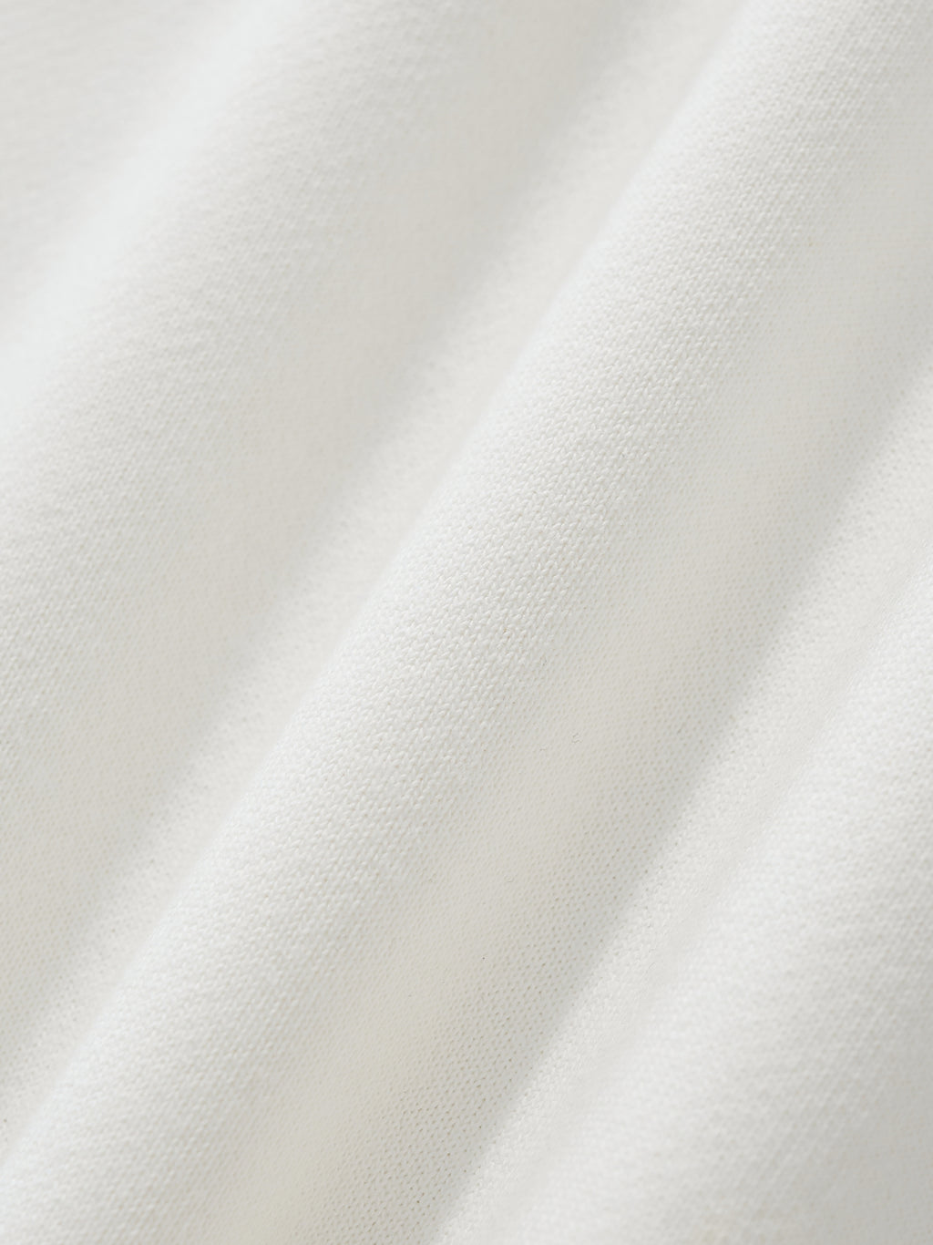 Monarch's Last Flight