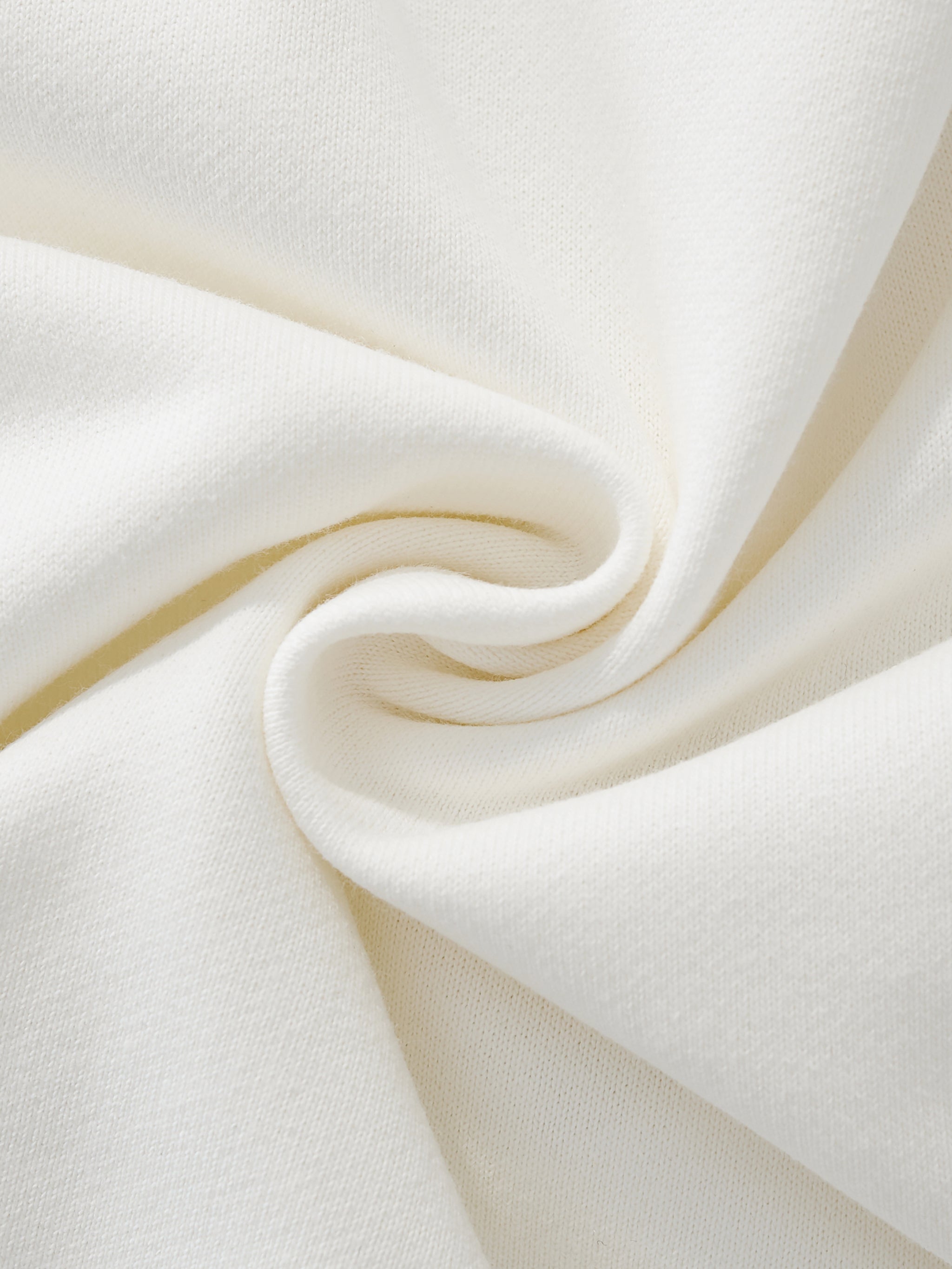 Monarch's Last Flight